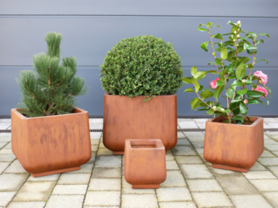 They are of various sizes and can be planted up in many ways.