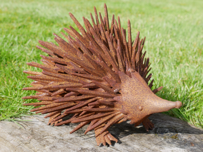 A close up view of this rusty finish hedgehog!