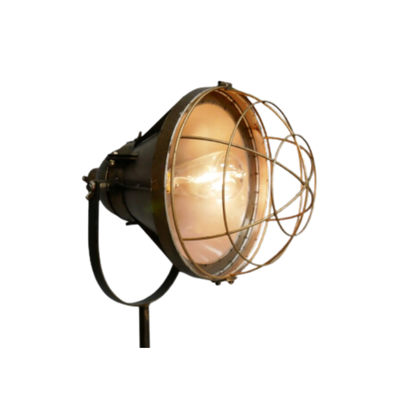 Industrial Studio Cage Light