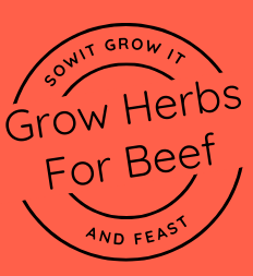 Sow It, Grow It and Feast! Herbs for Beef Dishes Seed Pack SowItGrowItandFeast.
Grow Herbs for Beef
Circular Stamp Logo on Clay Orange Background