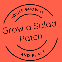 Sow It, Grow It and Feast! Grow a Salad Patch Seed Pack SowItGrowItandFeast.
Grow a Salad Patch
Circular Stamp Logo on Clay Orange Background