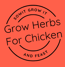 Sow It, Grow It and Feast! Grow Herbs for Chicken Dishes SowItGrowItandFeast.
Grow herbs for Chicken
Circular Stamp Logo on Clay Orange Background