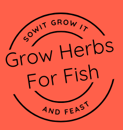 Sow It, Grow It and Feast! Herbs for Fish Dishes Seed Pack SowItGrowItandFeast.
Grow Herbs for Fish
Circular Stamp Logo on Clay Orange Background