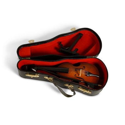 It even comes in its own case.