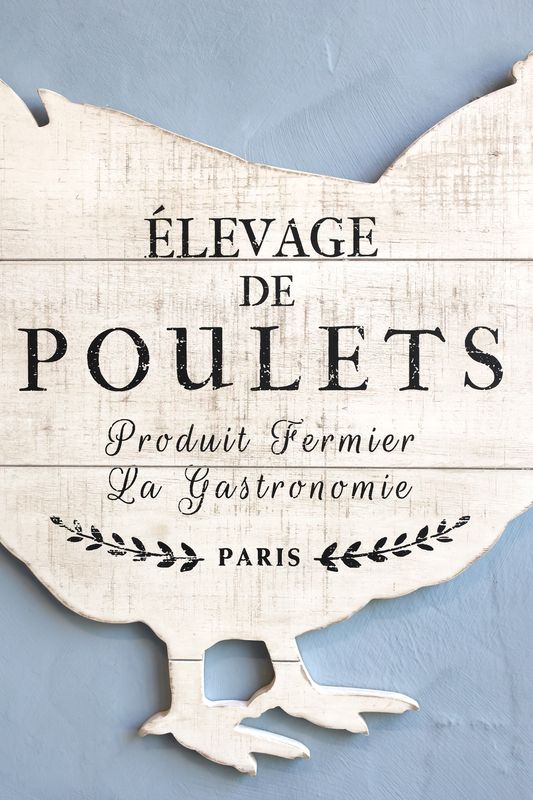 A close up showing the French text on this chicken shaped wonder.