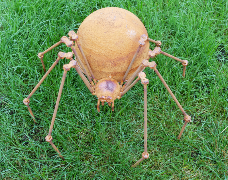 Well, here's one spider you won't mind either inside or outside your home! He is a real handful at a height of 27 cm, a leg span of 36 cm. 
Here he is in his garden!