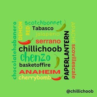 Chillichoob
Image:  Chilli Word Square Logo