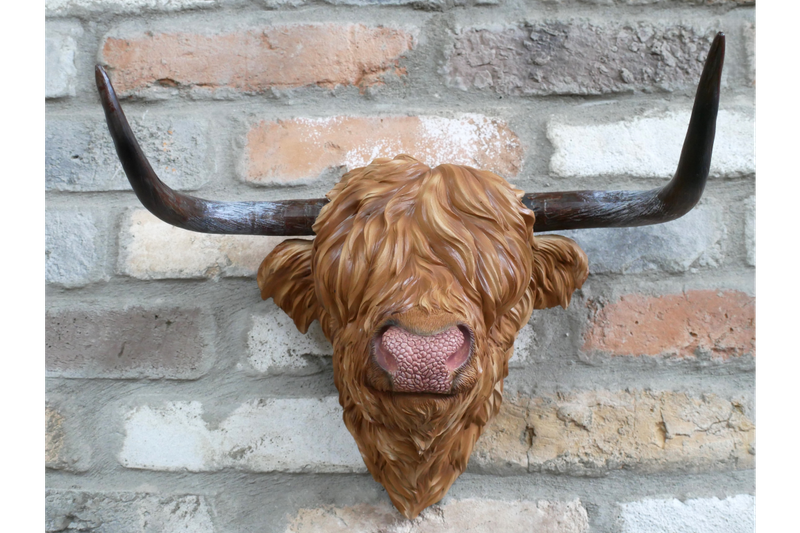 Ferdinand Bull Head