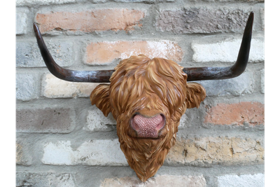 Ferdinand Bull Head