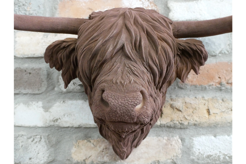Buster Bull Wall Art