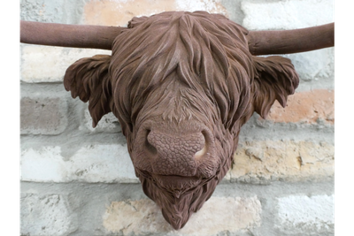 Buster Bull Wall Art