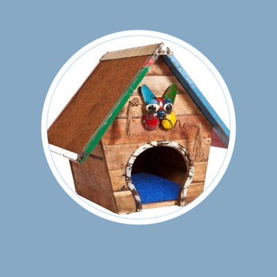 Our Favourite Pet Toys, Beds and Accessories