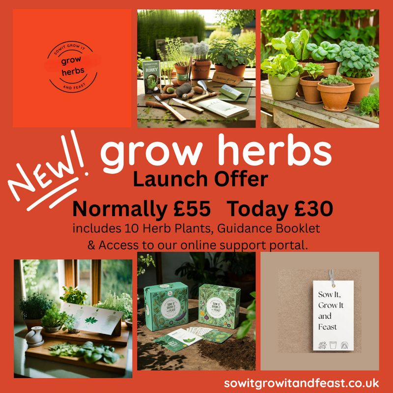Sow It Grow It and Feast!  Grow Herbs