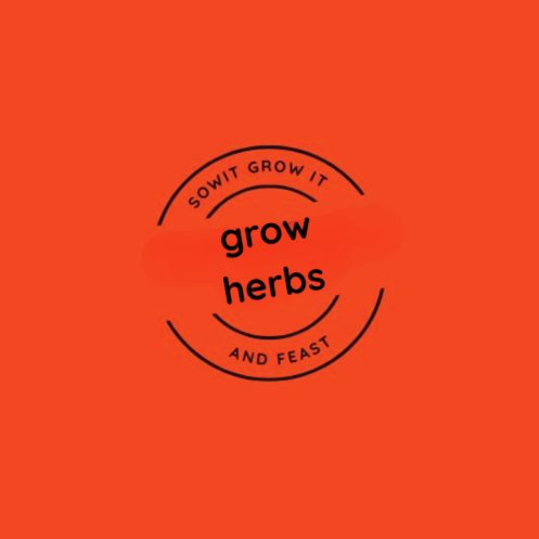 Sow It Grow It and Feast!  Grow Herbs