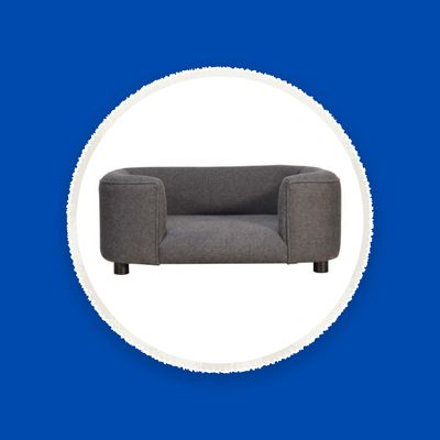 Our Favourite Pet Toys, Beds and Accessories