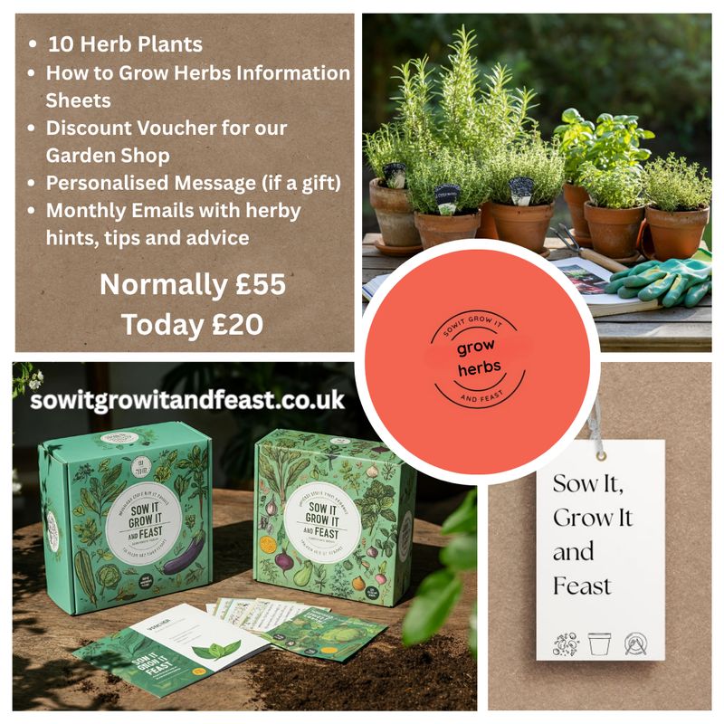 Sow It Grow It and Feast!  Grow Herbs