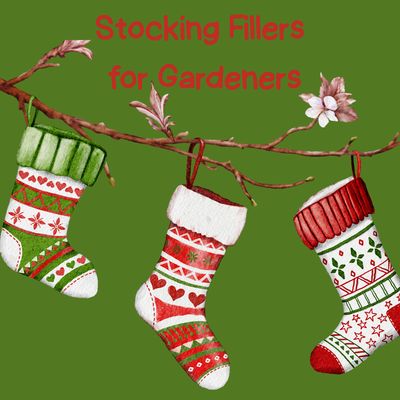 Stocking Fillers for Gardeners
