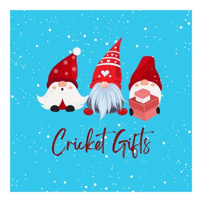 Christmas Cricket Gift Edit 🏏🧑‍🎄