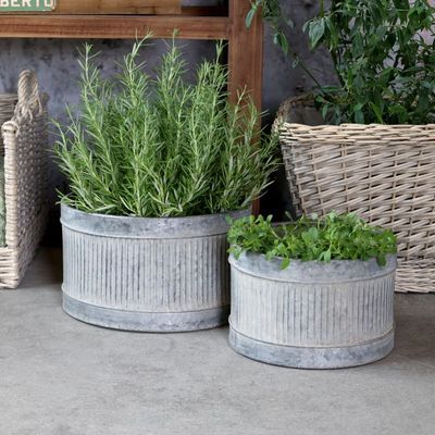 Set of two ribbed metal planters with a weathered grey finish - planted with herbs