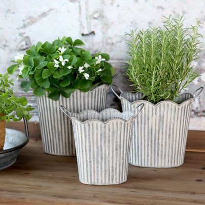 Set of three ribbed metal planters with scalloped rims and side handles, shown against a black background.