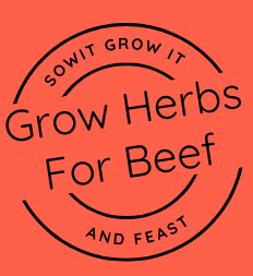SowItGrowItandFeast.
Grow Herbs for Beef
Circular Stamp Logo on Clay Orange Background