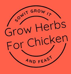 SowItGrowItandFeast.
Grow herbs for Chicken
Circular Stamp Logo on Clay Orange Background