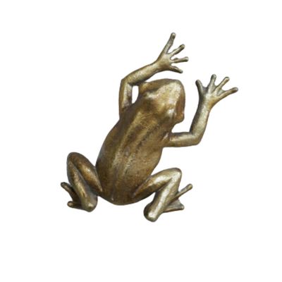 An interesting little friend for your home or business. Everybody loves a frog, and now you can adorn your wall with this little chap. 