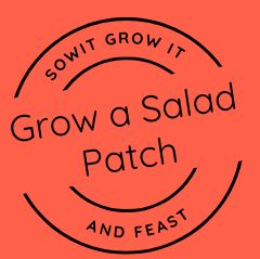 SowItGrowItandFeast.
Grow a Salad Patch
Circular Stamp Logo on Clay Orange Background