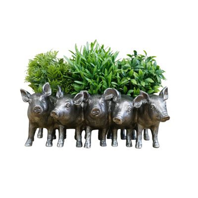 Squiggles Pig Planter
Five Piglets form one planter in a metallic finish.
The image shows them with plants planted.