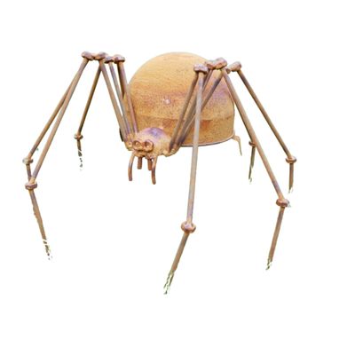 Well, here's one spider you won't mind either inside or outside your home! He is a real handful at a height of 27 cm, a leg span of 36 cm. 
 