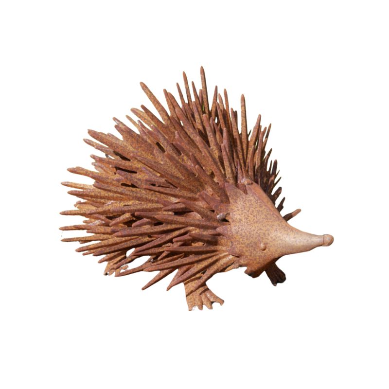 Every garden should have a hedgehog, and this one could be yours. And you don't even need to leave out a saucer of milk!!