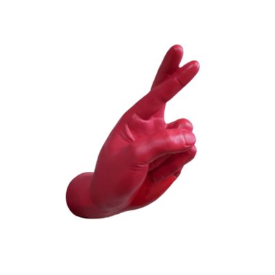 Fingers Crossed is an interesting item of wall art , easily fixed to any wall. 