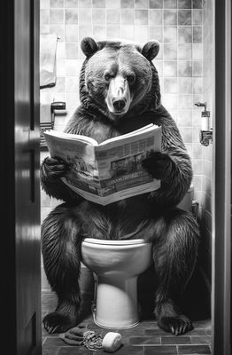 Bear sat on toilet reading a newspaper in a black and white finish