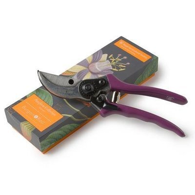Burgon & Ball Passiflora Secateurs Gardening Tool Gift Set
Presentation Box
Purple Handled Secateurs
