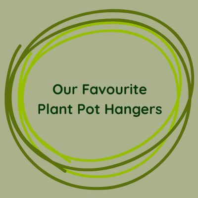 Plant Pot Hangers and Stands