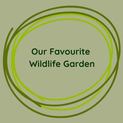 Our Favourite Wildlife Garden