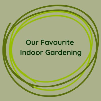 Our Favourite Indoor Gardening