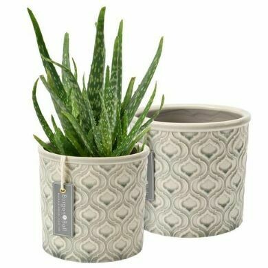This Venetian design echoes the richness of Rococo style, with slightly raised graceful curves that are beautifully highlighted by the wash of the glaze.
Set of two - one with plant - grey finish