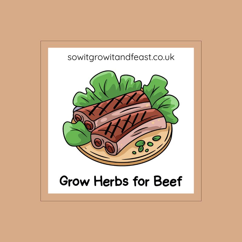Sow It, Grow It and Feast! Herbs for Beef Dishes Seed Pack Grow Herbs for Beef. Image: Beef Joint with herbs
