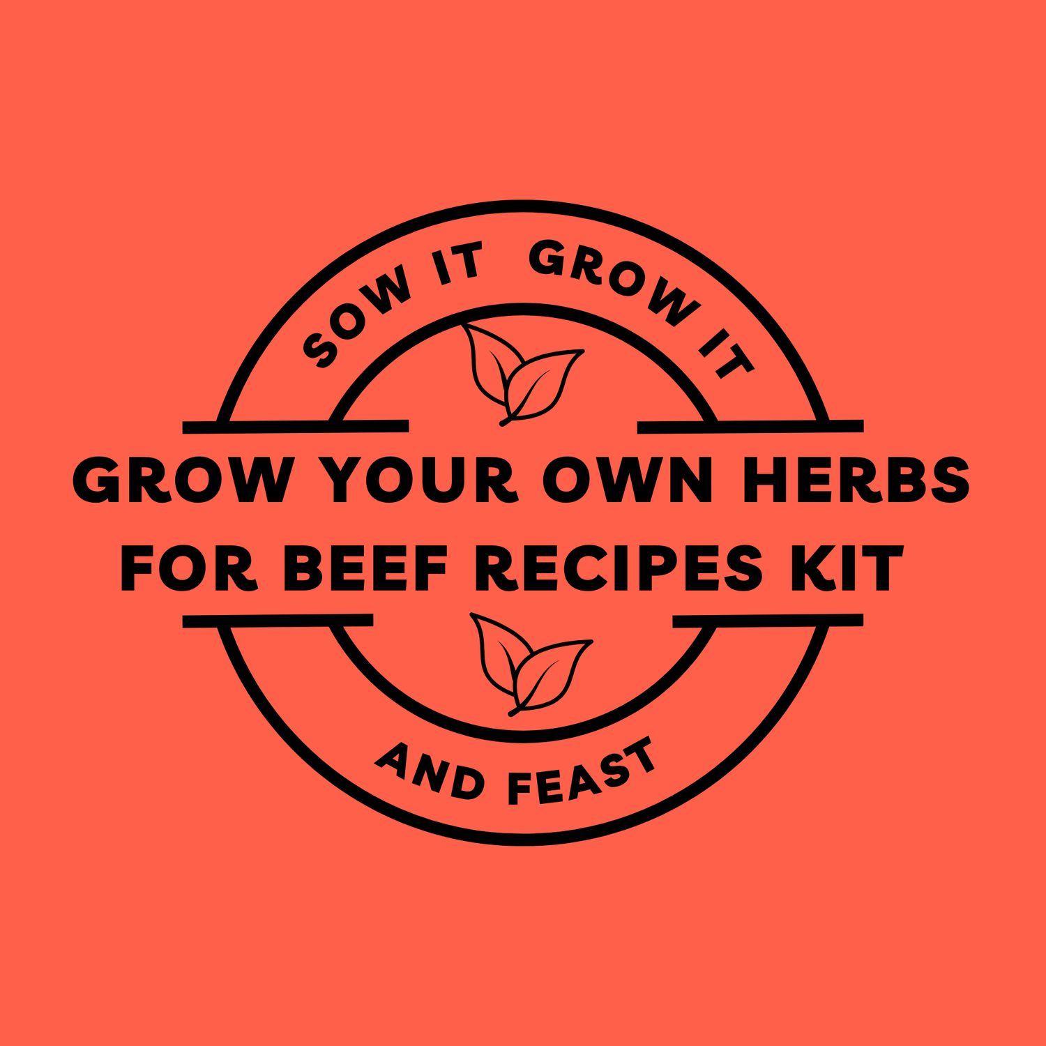 Grow Your Own Herbs for Beef Recipes Kit.  sowitgrowitandfeast.co.uk