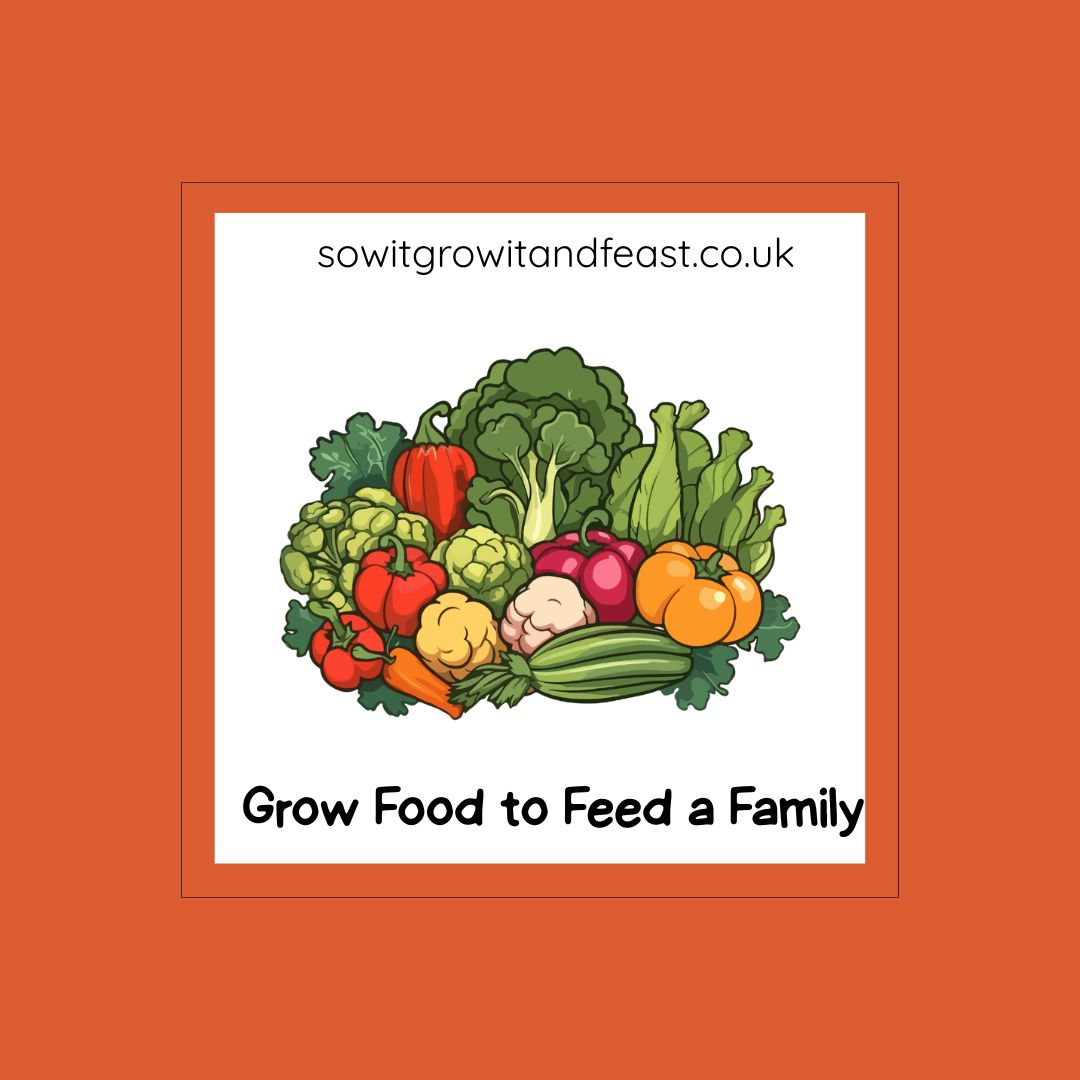 Grow Food to Feed A Family.  Image: harvest of fruit and vegetables