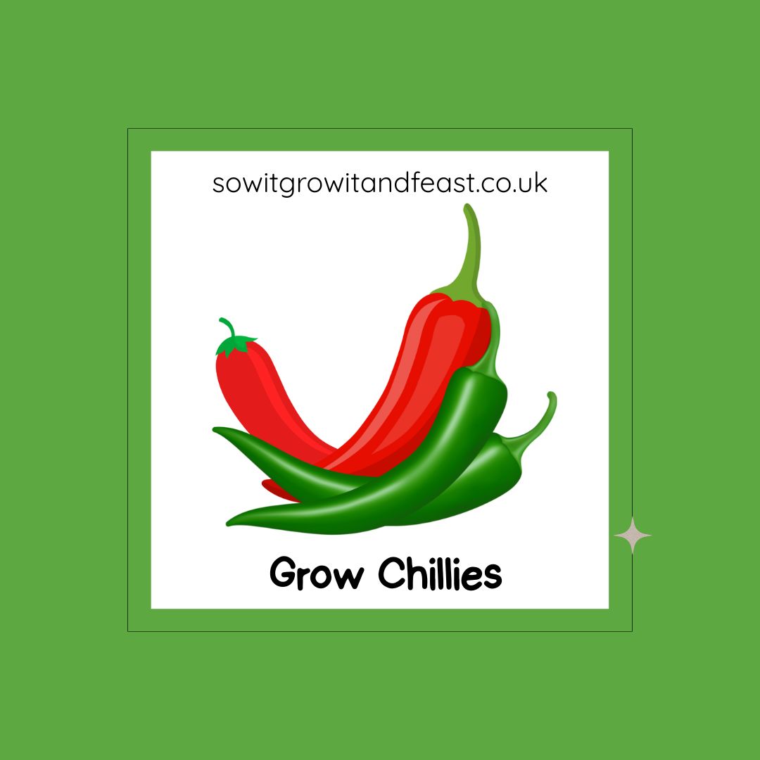 sowitgrowitandfeast.co.uk.  Grow Chillies.  Image: bright colourful chillies