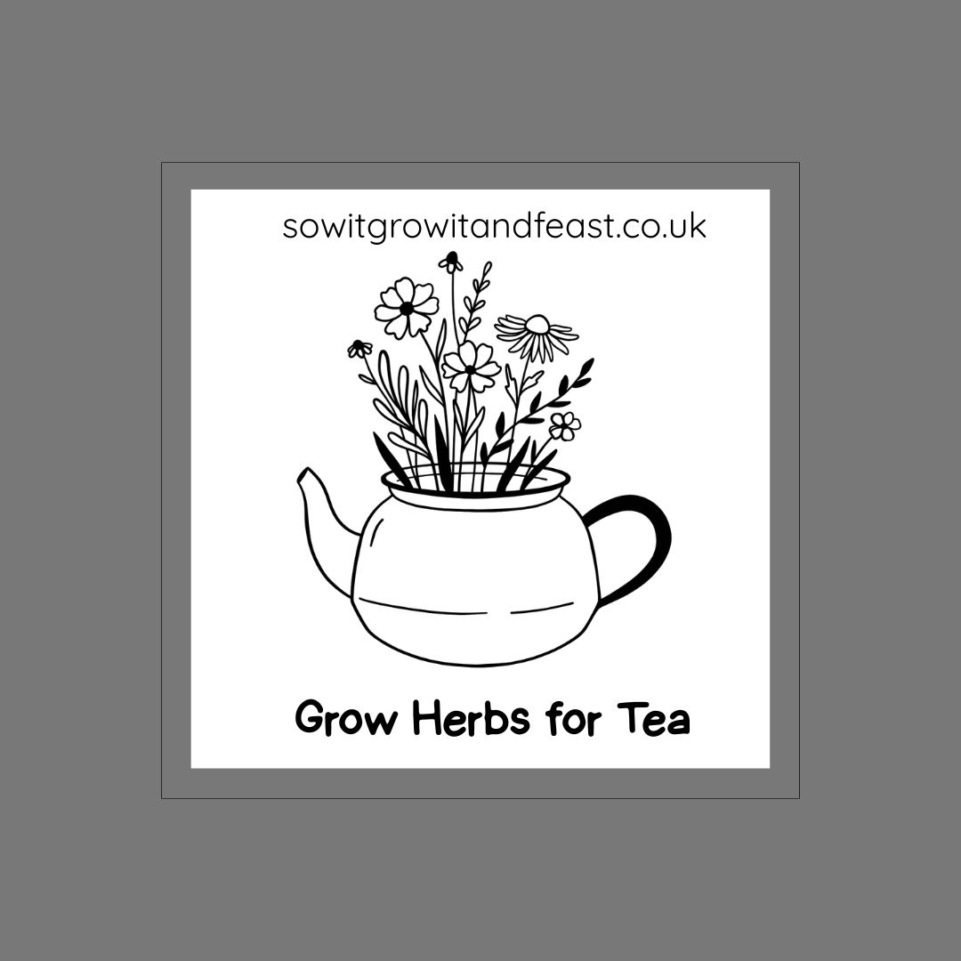 Grow Herbs for Tea. Image:  Teapot with Bunch of Herbs