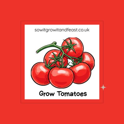 Grow Tomatoes.  Image:  Bright Red Tomatoes