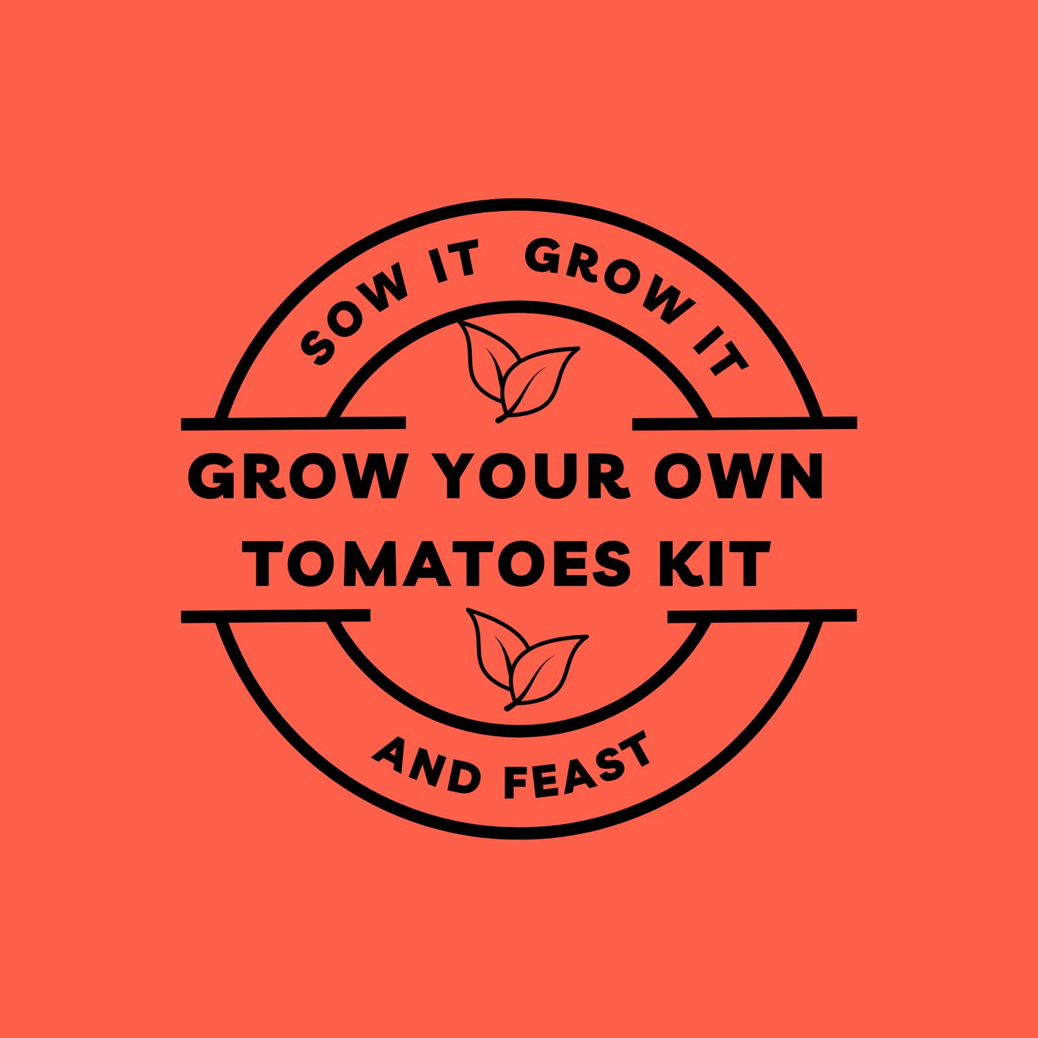 Grow Your Own Tomatoes Kit.  sowitgrowitandfeast.co.uk