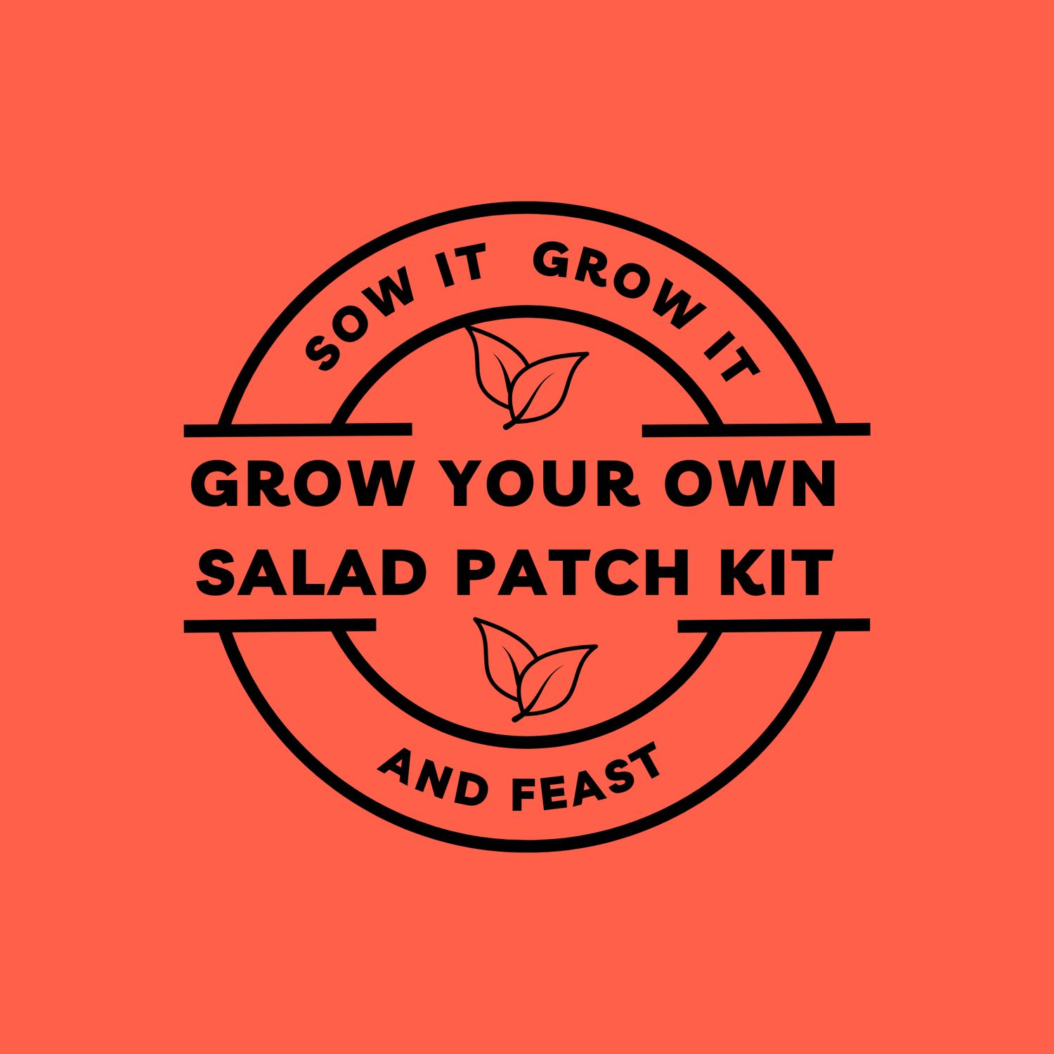Grow Your Own Salad Patch Kit.  sowitgrowitandfeast.co.uk