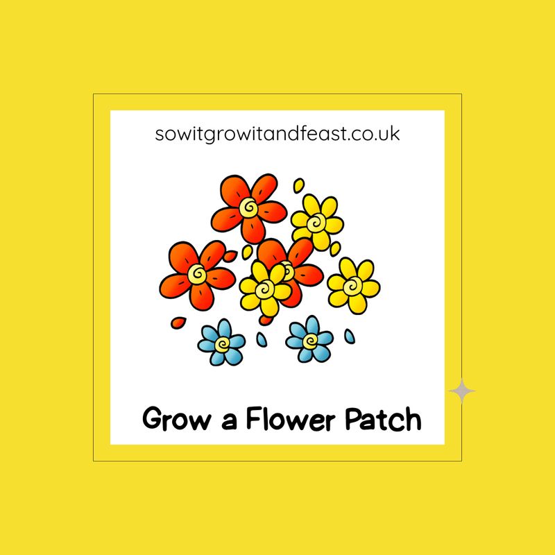 Sow It, Grow It and Feast! Cut Flower Patch Seed Pack sowitgrowitandfeast.co.uk. Grow a Flower Patch. Image: Child like Colourful Flowers