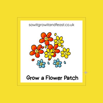 sowitgrowitandfeast.co.uk. Grow a Flower Patch.  Image:  Child like Colourful Flowers