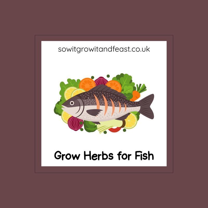 Sow It, Grow It and Feast! Herbs for Fish Dishes Seed Pack Grow Herbs for Fish. Image: Cooked Fish with Herbs