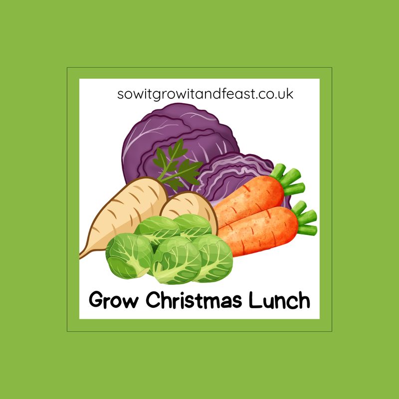 Sow It, Grow It and Feast! Grow Christmas Lunch Seed Pack sowitgrowitandfeast.co.uk - Grow Christmas Lunch. Image: Christmas Vegetables